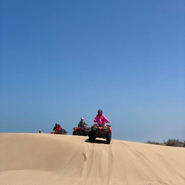 IMG_8878 https://kaoukiexcursions.com/wp-content/uploads/2025/01/IMG_8878-640x640.jpg